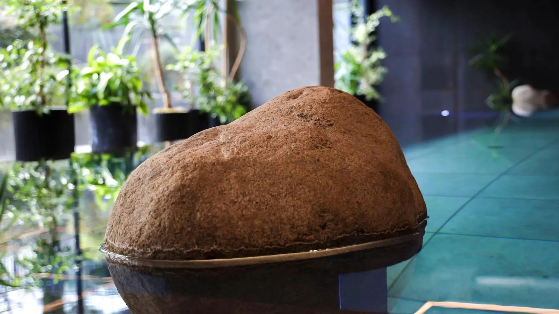 Azur Premium Resort Saints Constantine and Helena Apartment